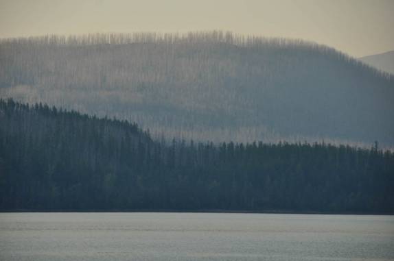 Vegetação ao redor do Lake McDonald, maior lago do Glacier National Park, em Montana, nos Estados Unidos